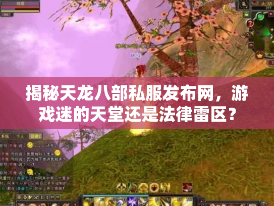 揭秘天龙八部私服发布网，游戏迷的天堂还是法律雷区？