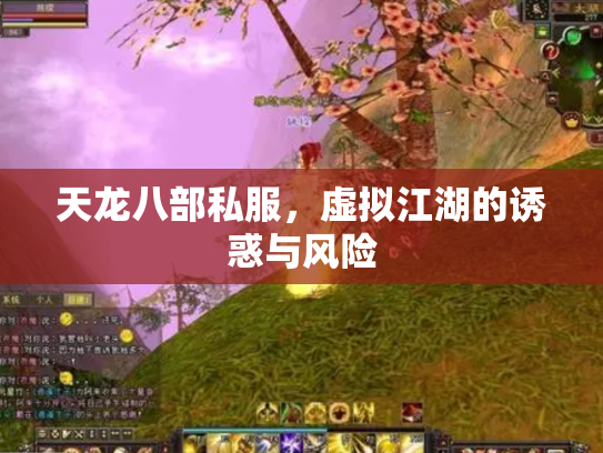 天龙八部私服，虚拟江湖的诱惑与风险