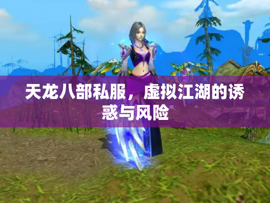 天龙八部私服，虚拟江湖的诱惑与风险