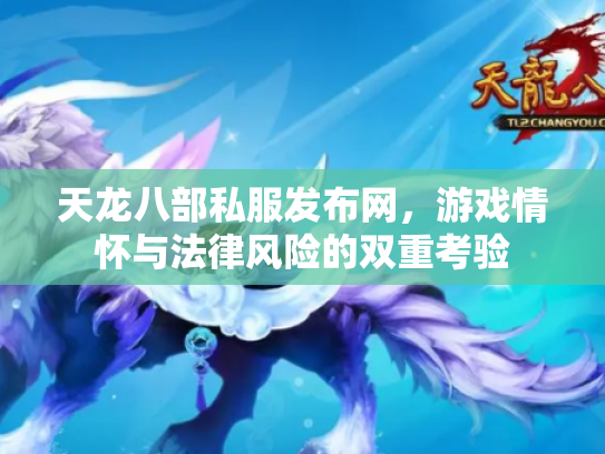 天龙八部私服发布网，游戏情怀与法律风险的双重考验