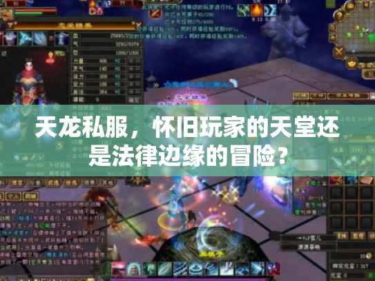天龙私服，怀旧玩家的天堂还是法律边缘的冒险？