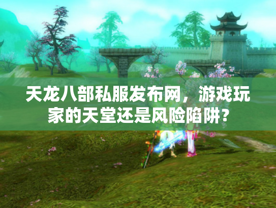 天龙八部私服发布网，游戏玩家的天堂还是风险陷阱？