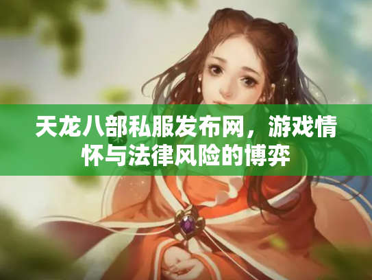 天龙八部私服发布网，游戏情怀与法律风险的博弈