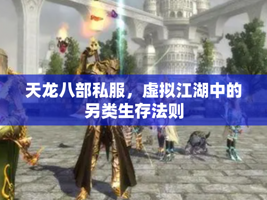 天龙八部私服，虚拟江湖中的另类生存法则