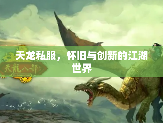 天龙私服，怀旧与创新的江湖世界