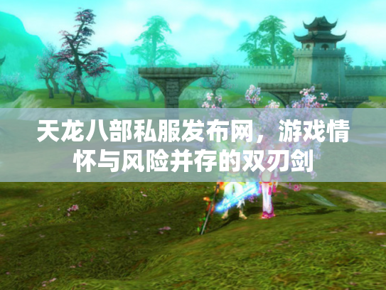 天龙八部私服发布网，游戏情怀与风险并存的双刃剑