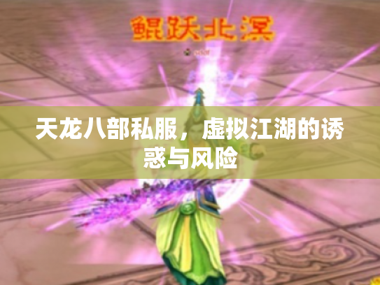 天龙八部私服，虚拟江湖的诱惑与风险