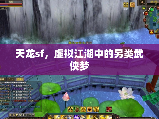 天龙sf，虚拟江湖中的另类武侠梦