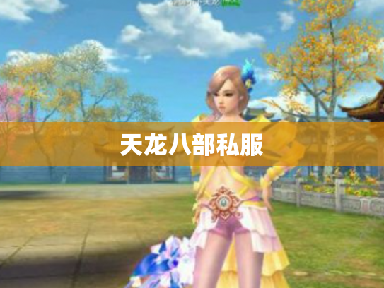 天龙八部私服