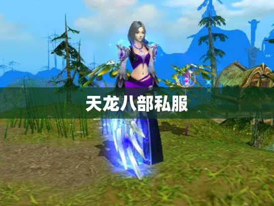 天龙八部私服