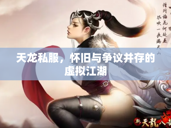 天龙私服，怀旧与争议并存的虚拟江湖