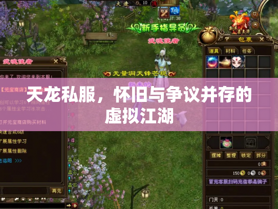 天龙私服，怀旧与争议并存的虚拟江湖