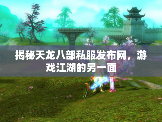 揭秘天龙八部私服发布网，游戏江湖的另一面