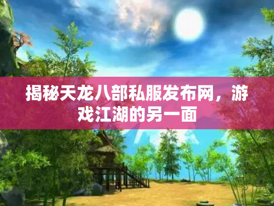 揭秘天龙八部私服发布网，游戏江湖的另一面