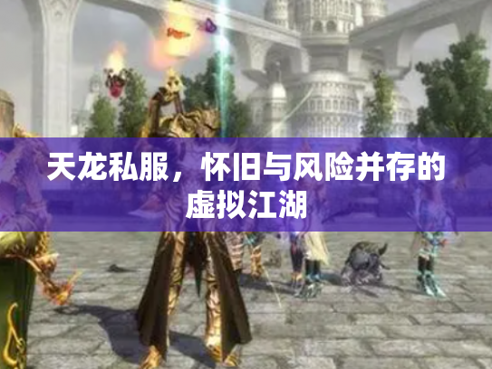 天龙私服，怀旧与风险并存的虚拟江湖