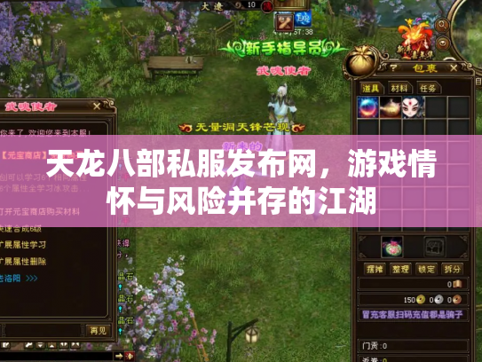 天龙八部私服发布网，游戏情怀与风险并存的江湖