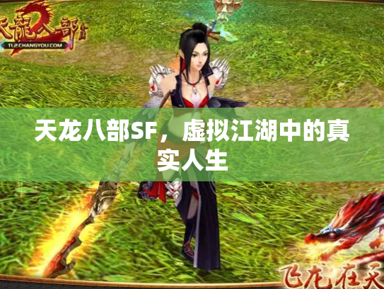 天龙八部SF，虚拟江湖中的真实人生