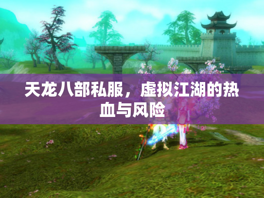 天龙八部私服，虚拟江湖的热血与风险