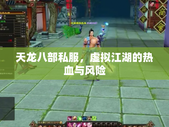 天龙八部私服，虚拟江湖的热血与风险