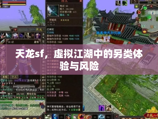 天龙sf，虚拟江湖中的另类体验与风险