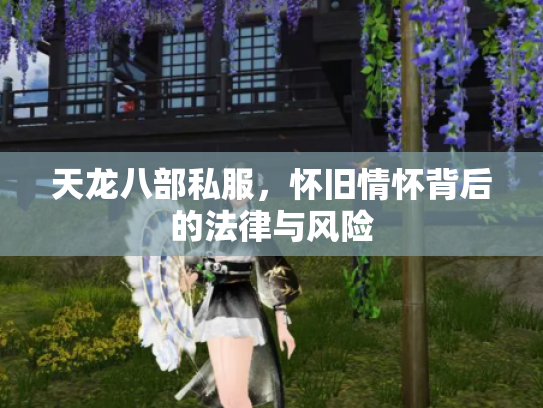 天龙八部私服，怀旧情怀背后的法律与风险