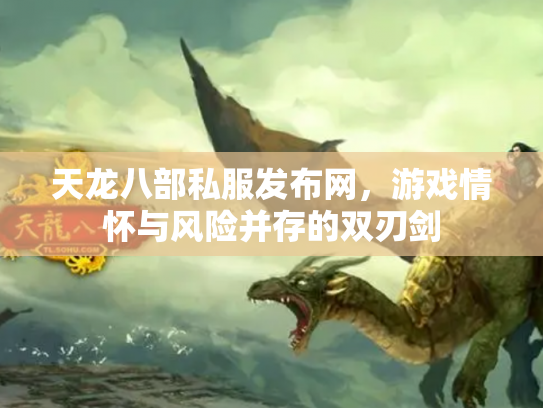 天龙八部私服发布网，游戏情怀与风险并存的双刃剑