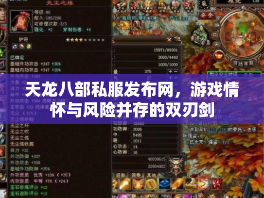 天龙八部私服发布网，游戏情怀与风险并存的双刃剑