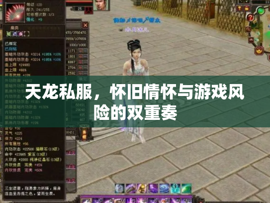 天龙私服，怀旧情怀与游戏风险的双重奏