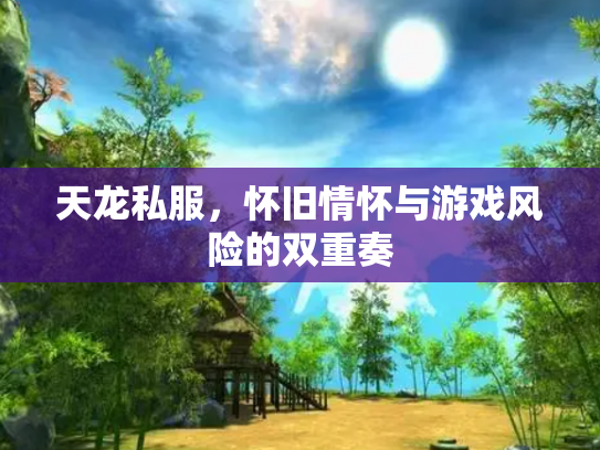 天龙私服，怀旧情怀与游戏风险的双重奏