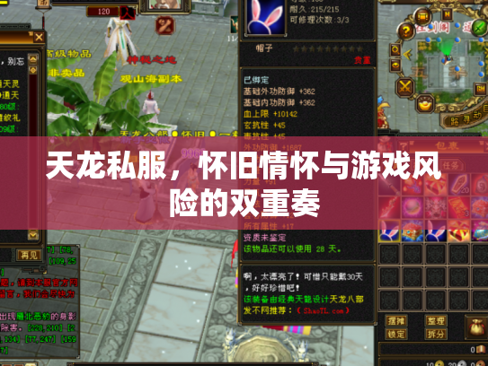 天龙私服，怀旧情怀与游戏风险的双重奏