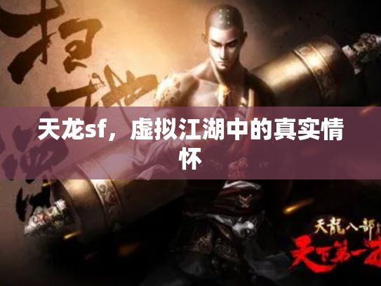 天龙sf，虚拟江湖中的真实情怀
