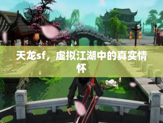 天龙sf，虚拟江湖中的真实情怀