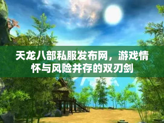 天龙八部私服发布网，游戏情怀与风险并存的双刃剑