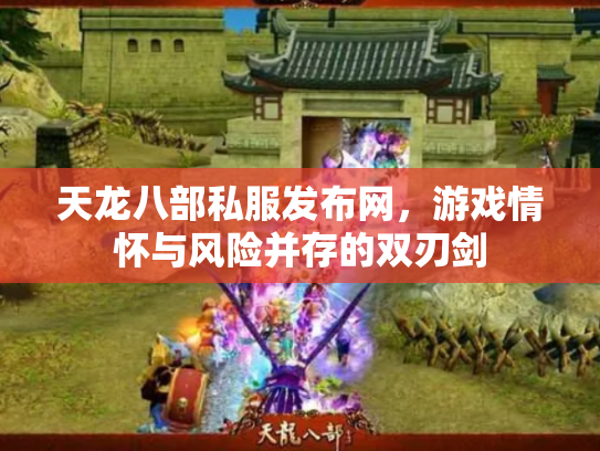 天龙八部私服发布网，游戏情怀与风险并存的双刃剑