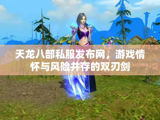天龙八部私服发布网，游戏情怀与风险并存的双刃剑