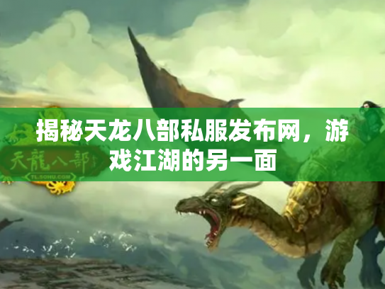 揭秘天龙八部私服发布网，游戏江湖的另一面