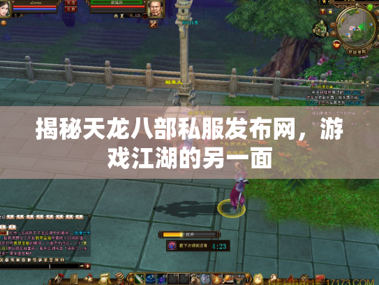 揭秘天龙八部私服发布网，游戏江湖的另一面