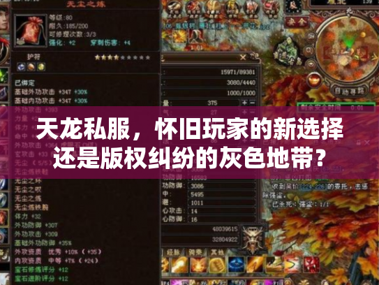 天龙私服，怀旧玩家的新选择还是版权纠纷的灰色地带？