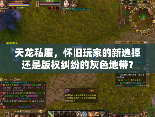 天龙私服，怀旧玩家的新选择还是版权纠纷的灰色地带？