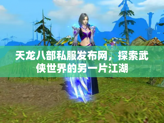 天龙八部私服发布网，探索武侠世界的另一片江湖