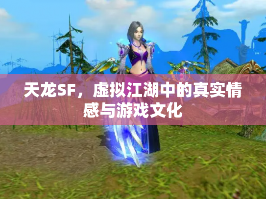 天龙SF，虚拟江湖中的真实情感与游戏文化