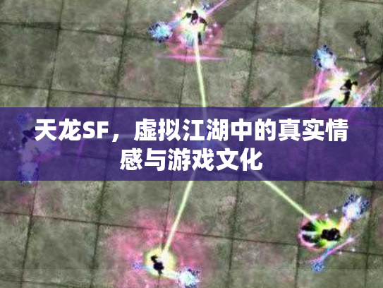 天龙SF，虚拟江湖中的真实情感与游戏文化