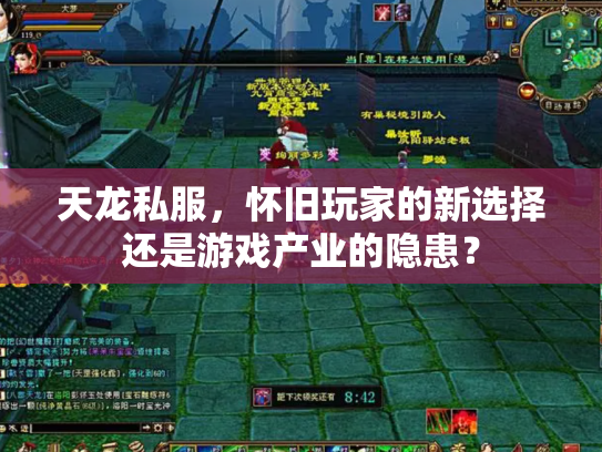 天龙私服，怀旧玩家的新选择还是游戏产业的隐患？