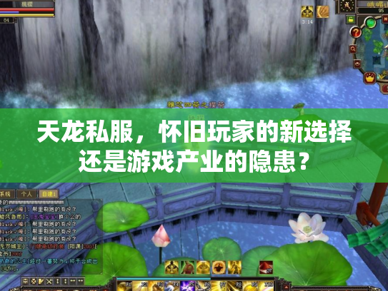 天龙私服，怀旧玩家的新选择还是游戏产业的隐患？