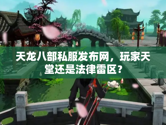 天龙八部私服发布网，玩家天堂还是法律雷区？