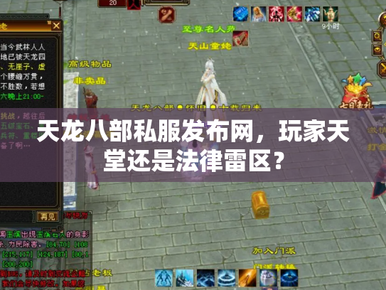 天龙八部私服发布网，玩家天堂还是法律雷区？