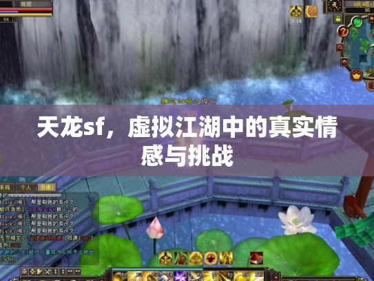 天龙sf，虚拟江湖中的真实情感与挑战