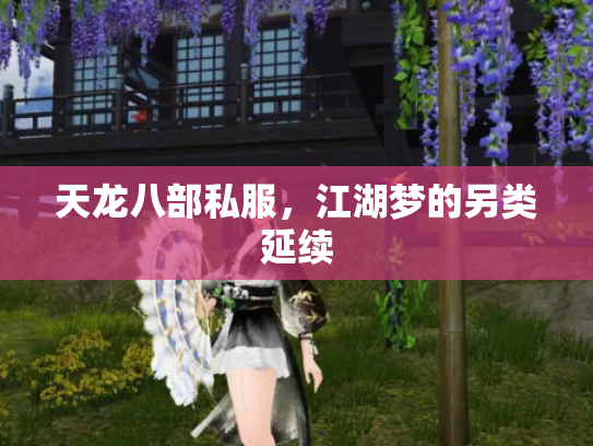 天龙八部私服，江湖梦的另类延续