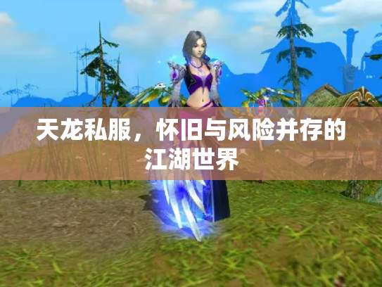 天龙私服，怀旧与风险并存的江湖世界