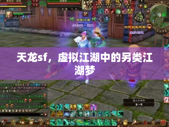 天龙sf，虚拟江湖中的另类江湖梦